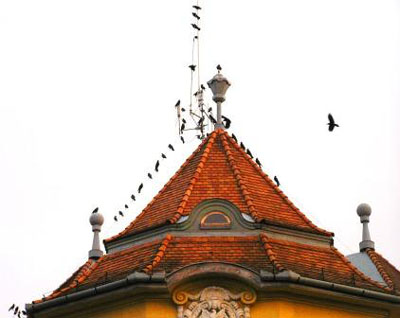 következő