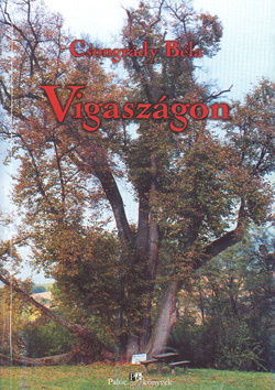 Vigaszgon