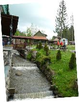 P1000543.JPG