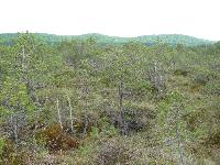 P1000580.JPG