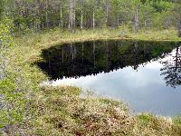 P1000583.JPG