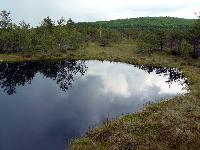 P1000584.JPG