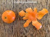clementine_projection.jpg