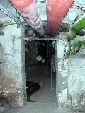 DSCN2095.jpg