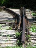 IMG_8291.JPG