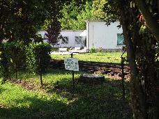 IMG_8334.JPG