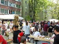 p1010517.jpg